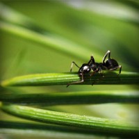 /album/rabota-v-internete/photolia-a05-jpg/