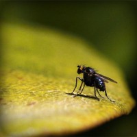 /album/rabota-v-internete/photolia-a07-jpg/