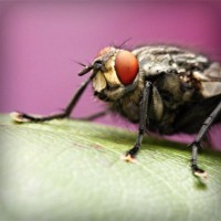 /album/rabota-v-internete/photolia-a08-jpg/